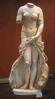 La Vénus Anadyomène